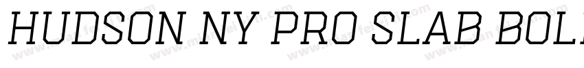 Hudson NY Pro Slab Bold字体转换
